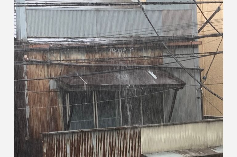 霧よけ(庇)