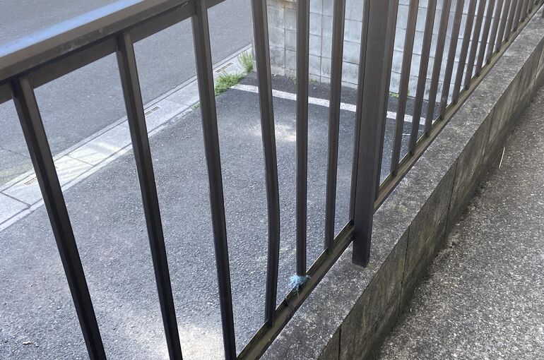 ふぇんす