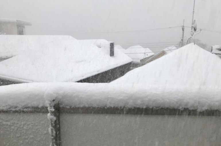 雪