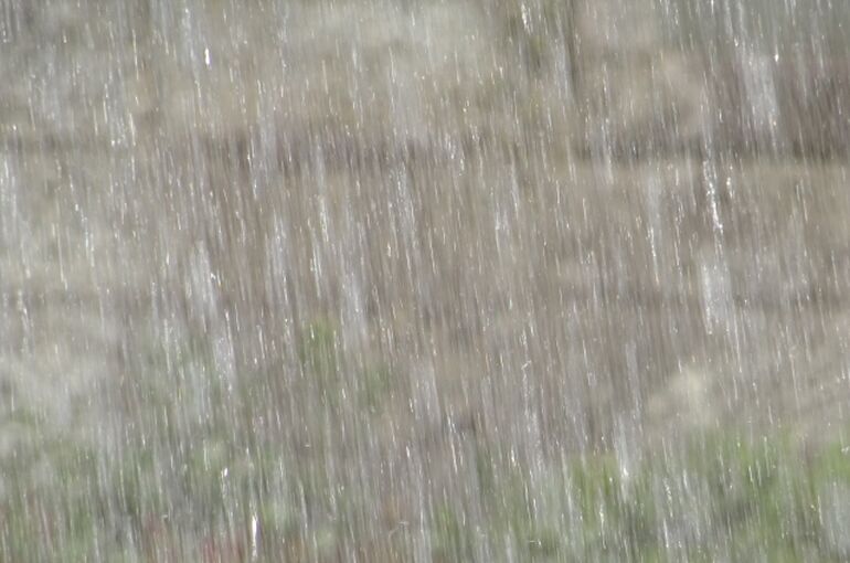 雨