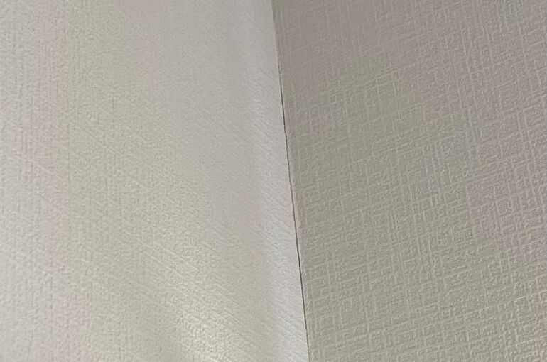 ヒビ